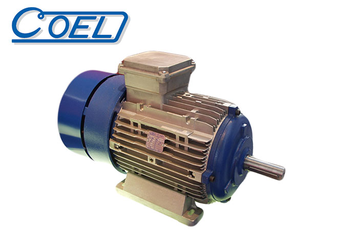 COEL brake motor B3