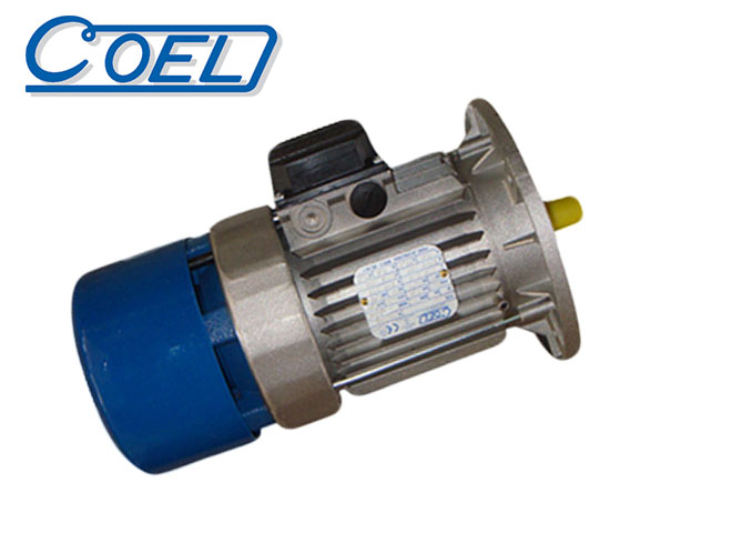 COEL brake motor vertical